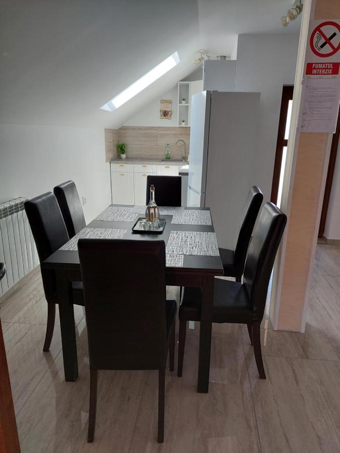 Casa Cristina Hotell Cîrţişoara Eksteriør bilde
