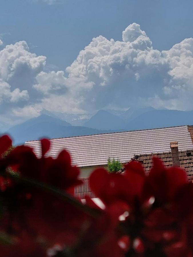 Casa Cristina Hotell Cîrţişoara Eksteriør bilde