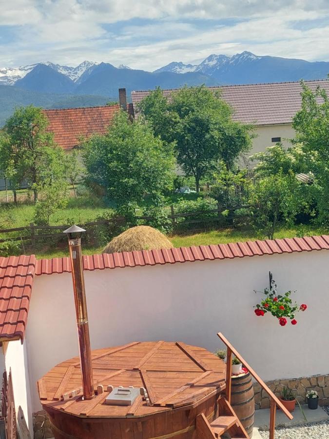 Casa Cristina Hotell Cîrţişoara Eksteriør bilde