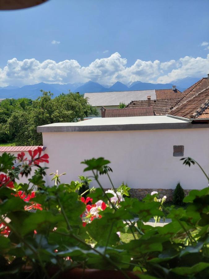 Casa Cristina Hotell Cîrţişoara Eksteriør bilde