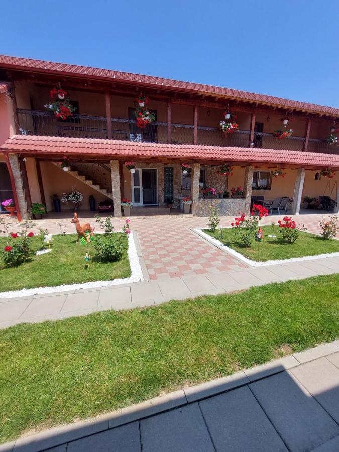 Casa Cristina Hotell Cîrţişoara Eksteriør bilde